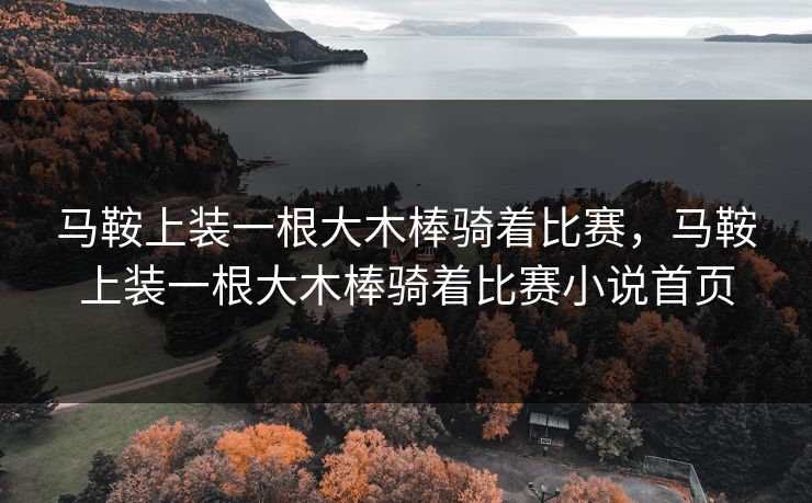 马鞍上装一根大木棒骑着比赛，马鞍上装一根大木棒骑着比赛小说首页