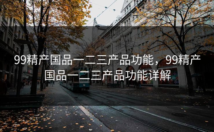 99精产国品一二三产品功能，99精产国品一二三产品功能详解