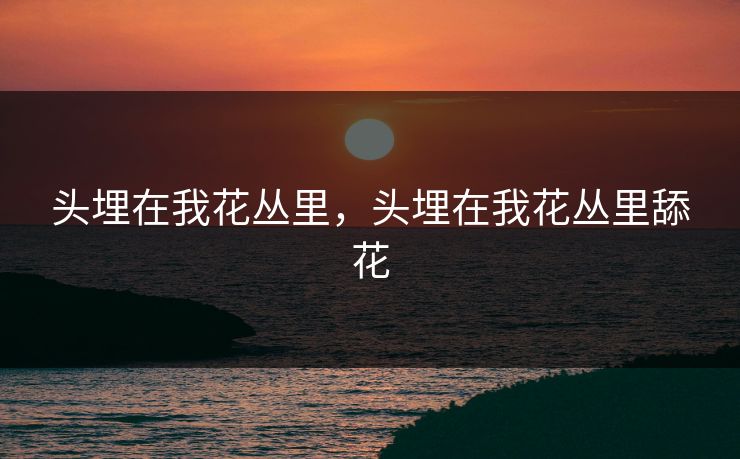 头埋在我花丛里，头埋在我花丛里舔花
