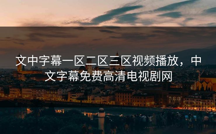 文中字幕一区二区三区视频播放，中文字幕免费高清电视剧网