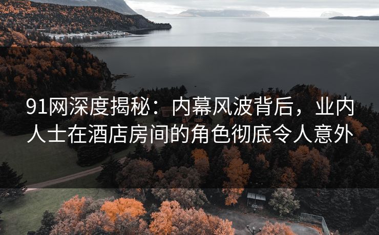 91网深度揭秘：内幕风波背后，业内人士在酒店房间的角色彻底令人意外