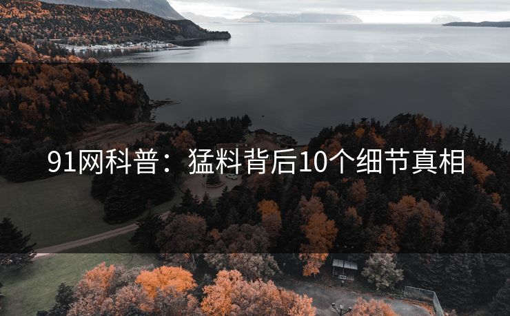 91网科普：猛料背后10个细节真相